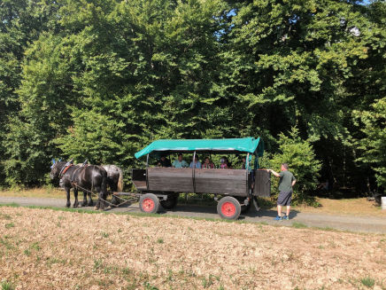 Mobirise